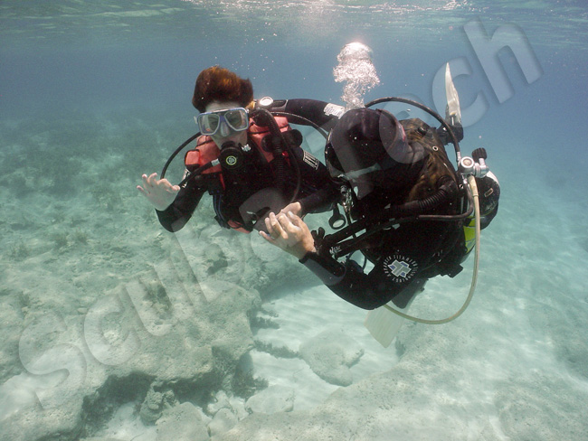 discover rebreather diving in cyprus